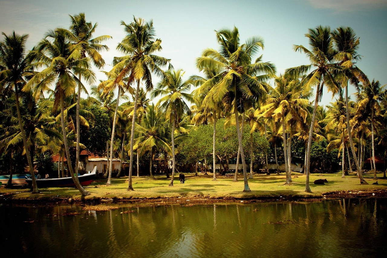 Kerala – God's Own Country for Backpackers